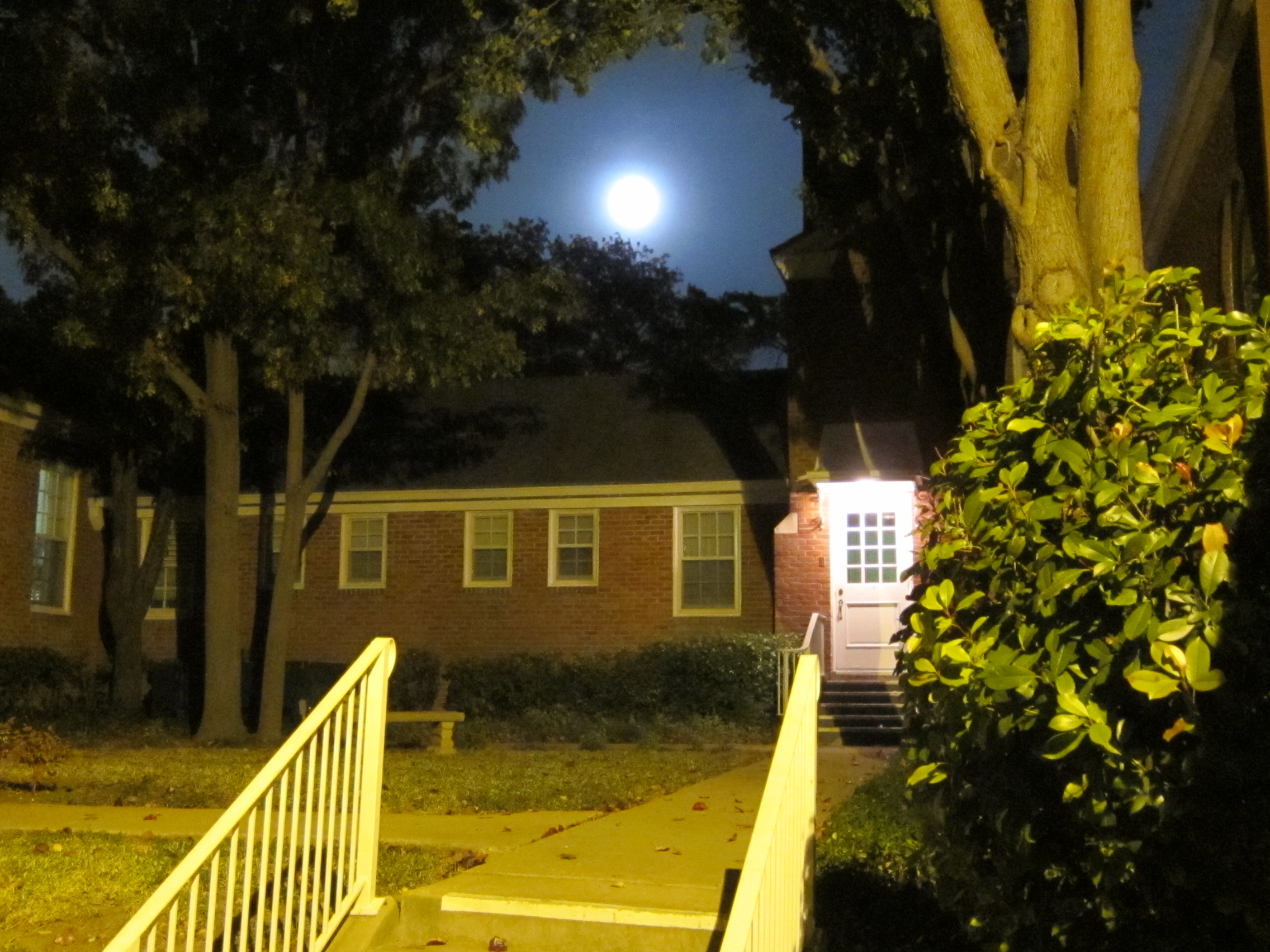 Full Moon Over the Back Door